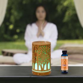 Scented Oil Products Fragrance Oils Tangerine Burst 2oz Abstract Image