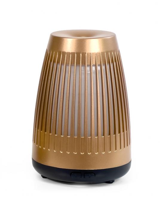 Flared Diffuser 100ML