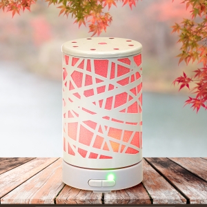 Spectrum Metal Diffuser - White Abstract Image